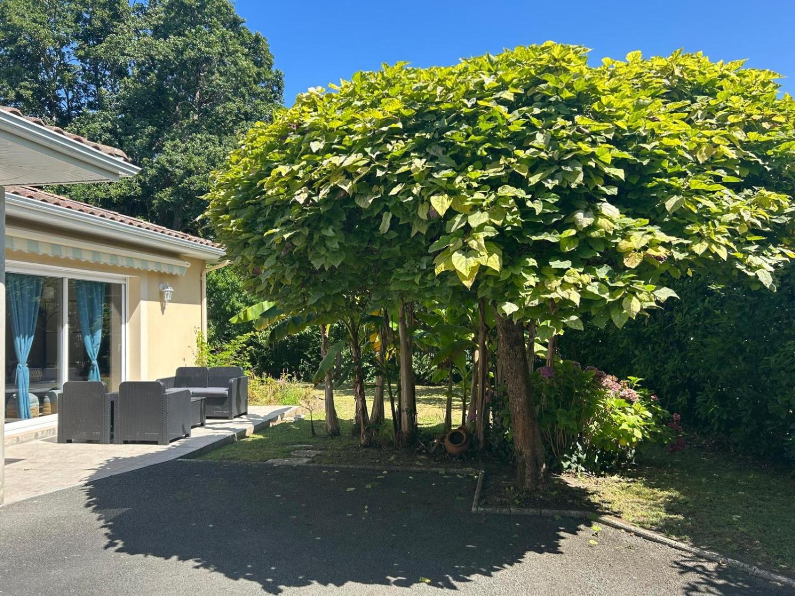 Jolie Maison Le Teich Bassin Park/Wifi Exteriör bild