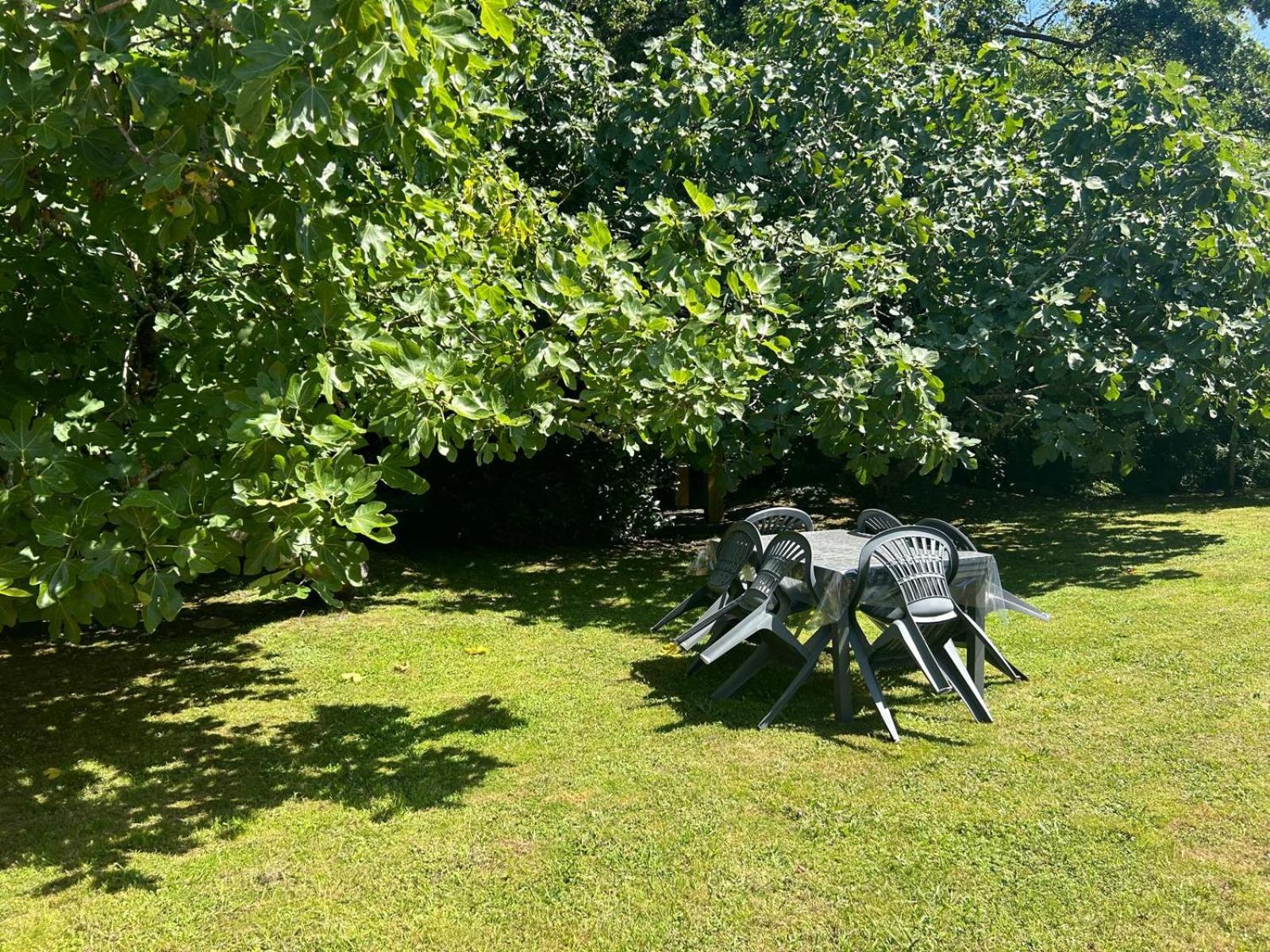 Jolie Maison Le Teich Bassin Park/Wifi Exteriör bild