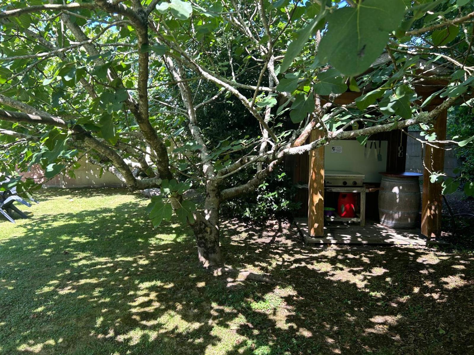 Jolie Maison Le Teich Bassin Park/Wifi Exteriör bild